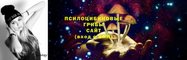 кокс Михайлов