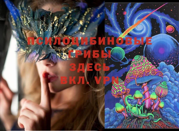 ПСИЛОЦИБИНОВЫЕ ГРИБЫ Михайловск