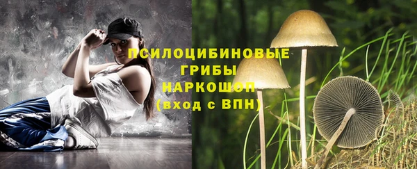 дживик Михайловка