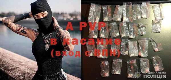 кокс Михайлов