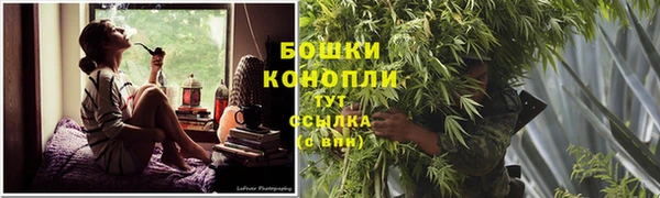 кокс Михайлов