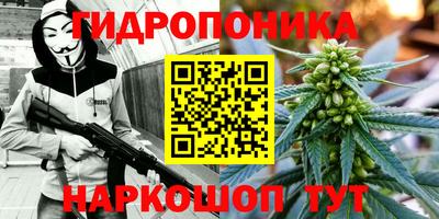 эйфоретик Волжский