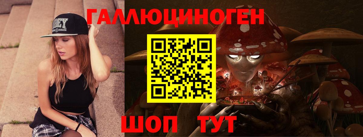 Волгодонск  Галлюциногенные грибы прущие грибы  Вход с VPN 